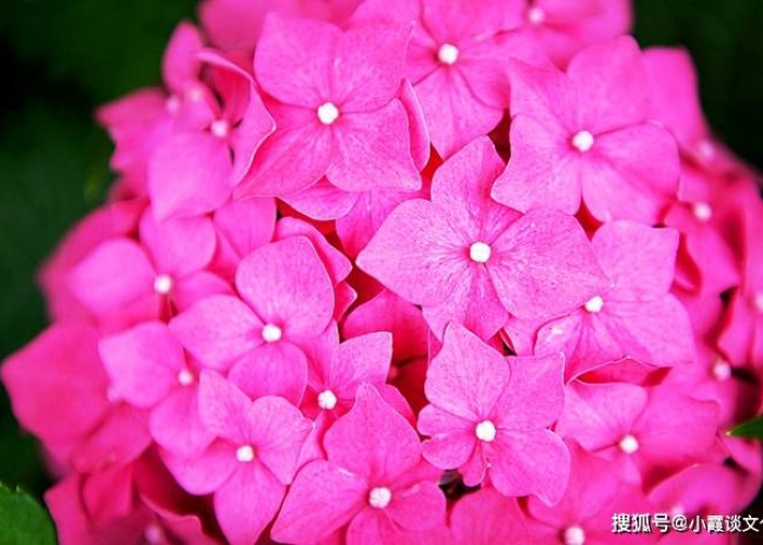疫情仿佛没来过一样的说说（疫情仿佛没来过一样的说说句子）