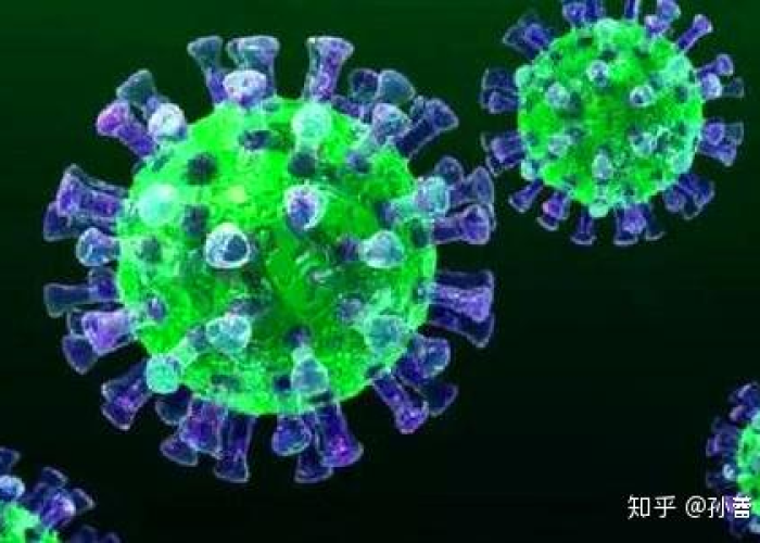 新冠疫情最新病毒（新冠病毒最新疫情最新数据）