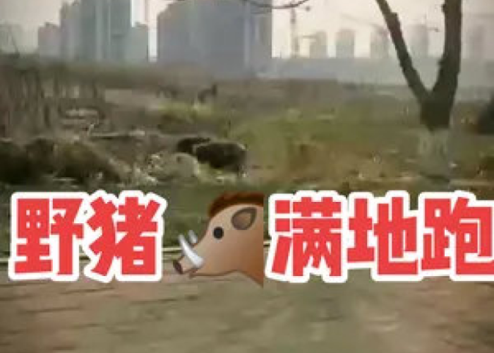 疫情终于结束了（疫情结束吧）