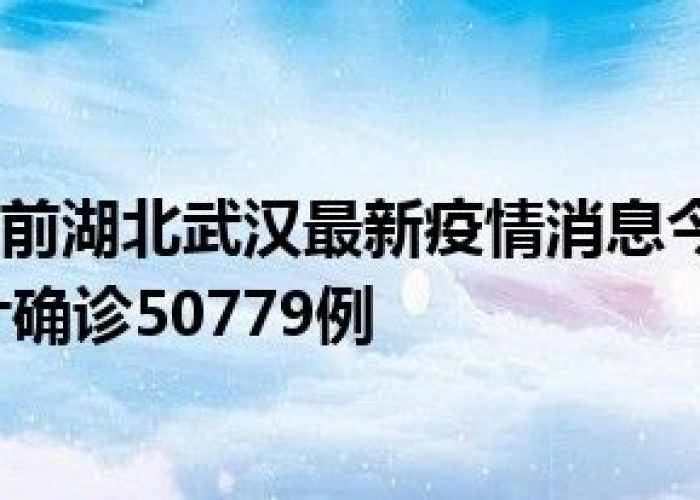 百度武汉疫情最新情况（百度一下武汉疫情）
