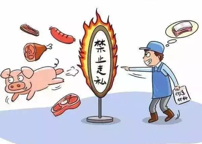 疫情背后的感人故事（疫情背后的感人故事及感想）