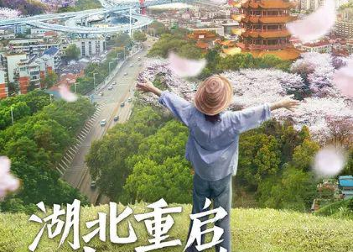 武汉疫情抖音百科（武汉疫情的）