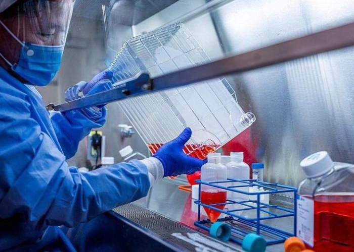 世卫组织对中国新冠疫情的影响（世卫组织对新冠疫情的看法）