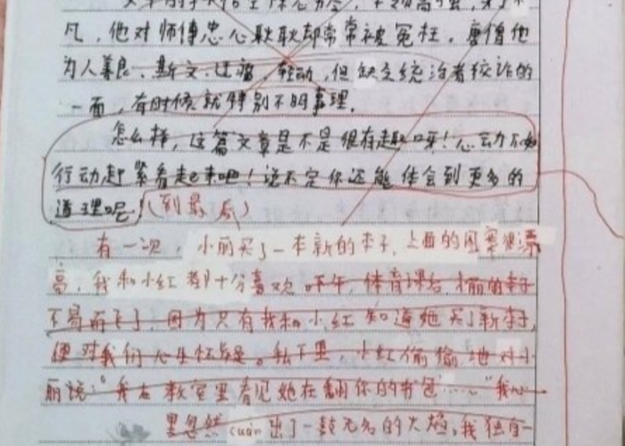 疫情与青春作文800字记叙文（疫情和青春）
