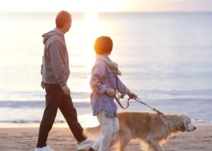 疫情三年内能结束吗（疫情3年能结束吗）