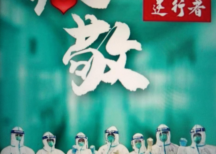 疫情主要是什么原因引起（疫情由什么引起）