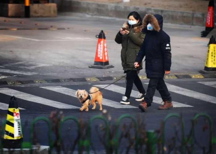 疫情过后是什么样子（疫情过后是什么样子图片）