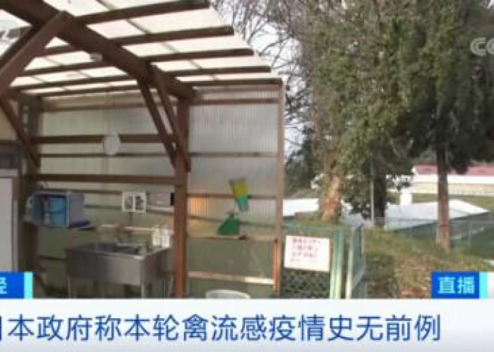 三年疫情的真实情况怎么写（三年之内疫情会不会好）