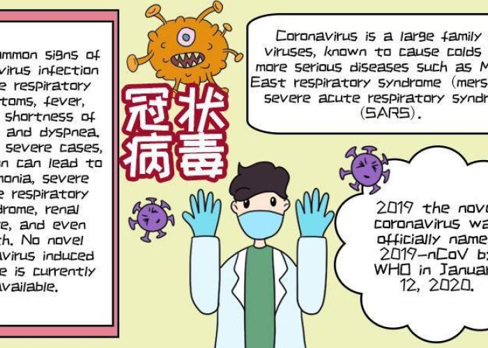 新型冠状病毒疫情小报英语（新冠肺炎疫情英语手抄报内容）