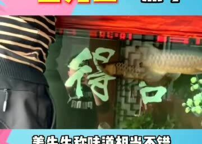 疫情居家隔离搞笑视频（疫情居家隔离搞笑视频素材）