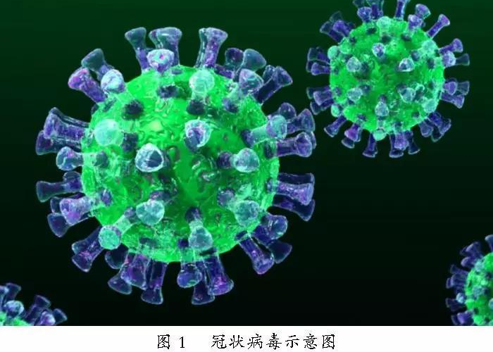 新冠病毒疫情新消息（新冠状病毒疫最新报道情况）
