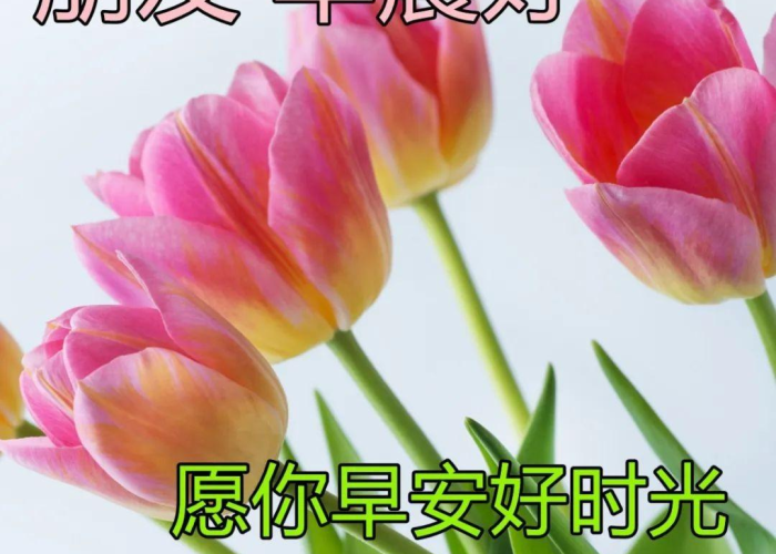 疫情结束之后的说说（疫情结束后的感慨）