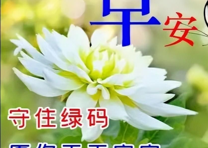 抖音疫情期间最火的句子（疫情 抖音）