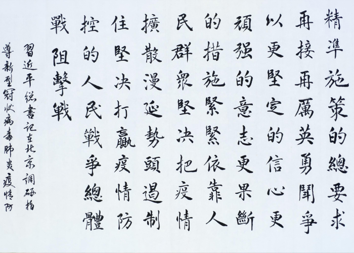 新冠疫情历史书上寥寥几笔（新冠疫情 历史书）