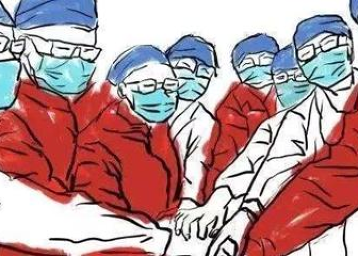 疫情回顾感受（关于疫情的回顾总结）