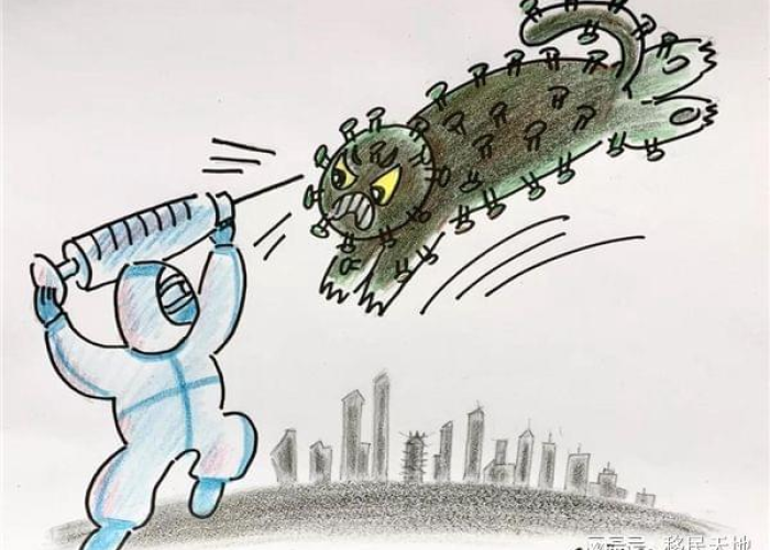 现在全国放开疫情怎么样了（疫情放开国门）