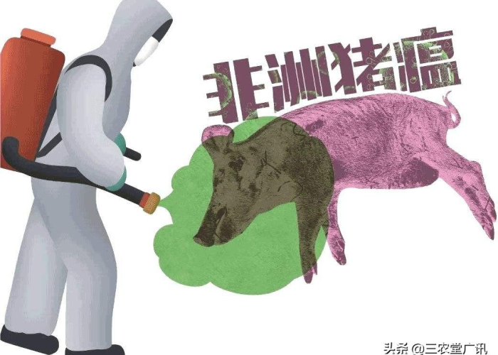 2019年发生了什么疫情（2019年发生什么疫情最严重）