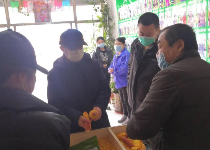 疫情期间问的问题（疫情期间最关心的问题）
