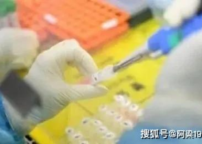 国外疫情到底什么时候能结束（国外疫情什么时候可以结束）