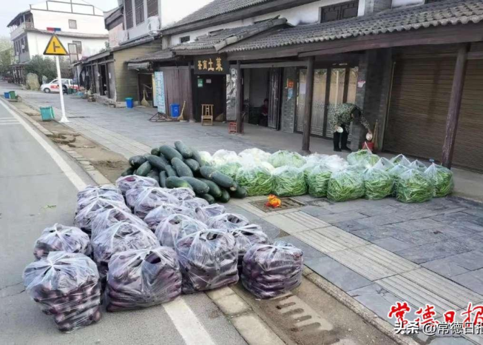 2021年疫情最严重是几月鼎城（2020年疫情最严重的是哪个城市）