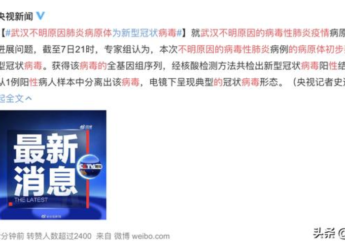 武汉疫情的原因详细解释是什么（武汉疫情的起因是什么）