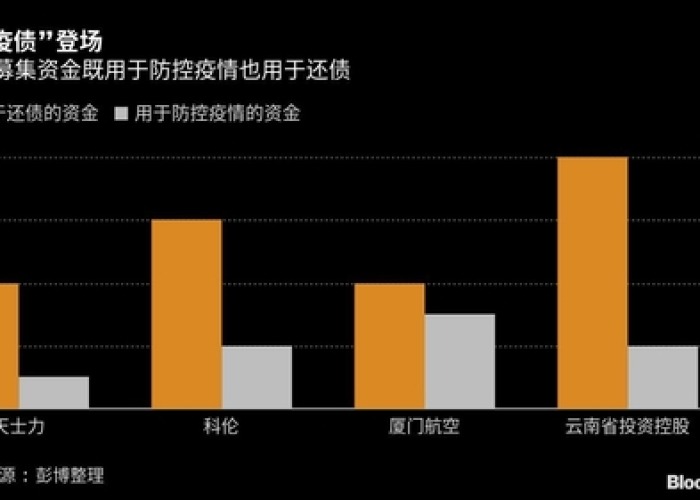 疫情负债（疫情负债国家有什么政策）