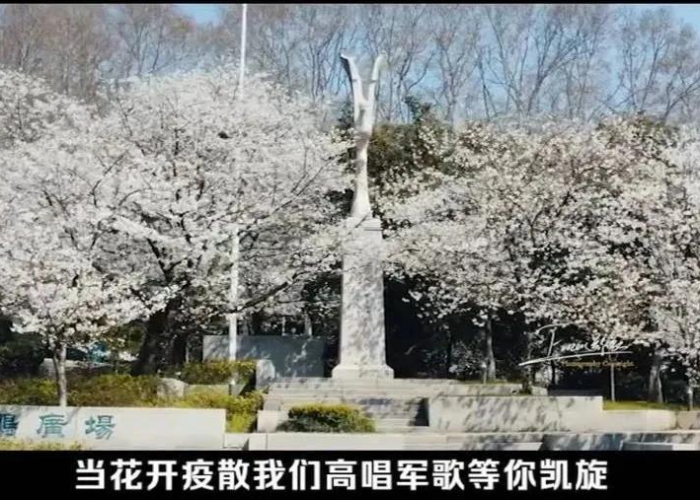 疫情英语演讲（疫情英语演讲刘）