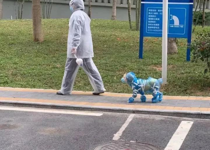 武汉疫情是几月几号解封的（武汉疫情大概什么时间能解封）