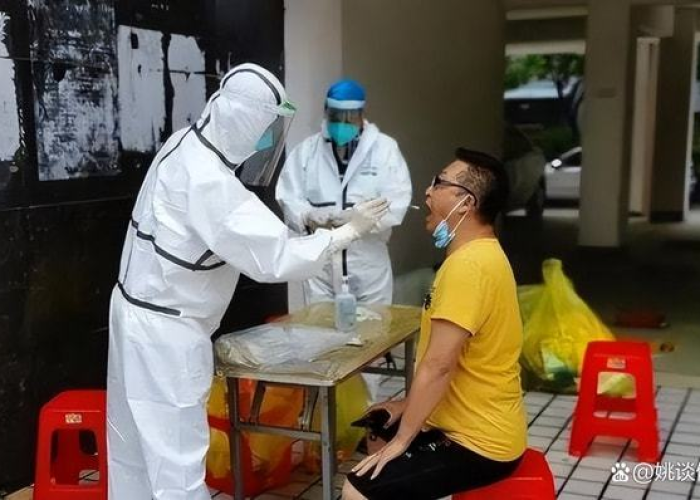 疫情过后的生活变化（疫情过后我们的生活）