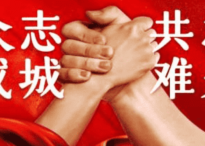 2020我与疫情相遇作文800（我与疫情相约）
