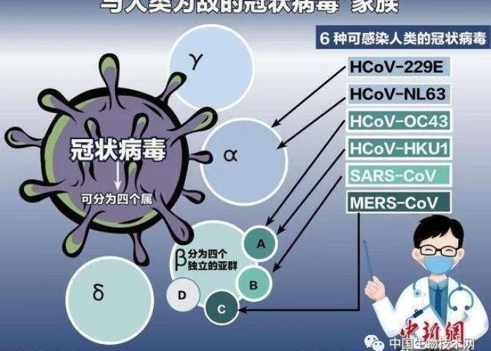 新冠疫疫情什么时候开始的（新冠疫疫情什么时候开始的）