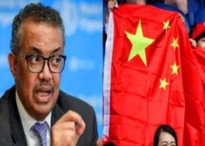 疫情最新数据消息官方（疫情最新数据消息报告）