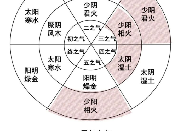 疫情啥时开始的（疫情具体什么时候开始的）
