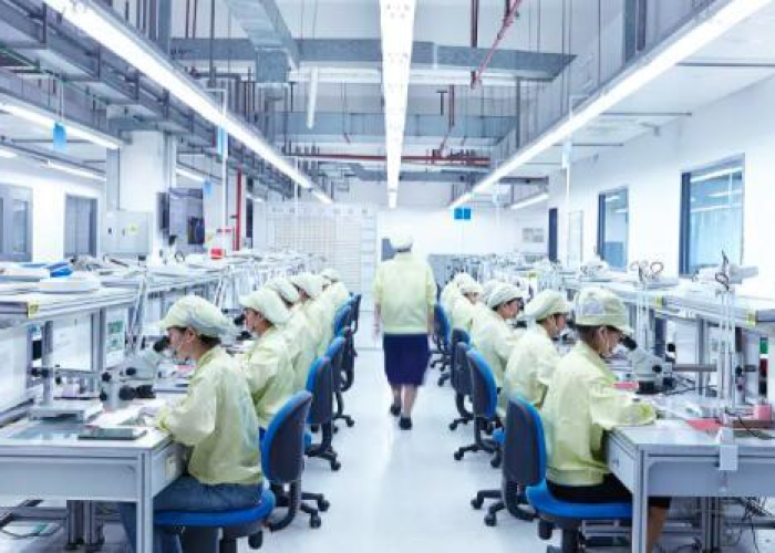 现在疫情是逐渐放开了吗（疫情是否又开始了）