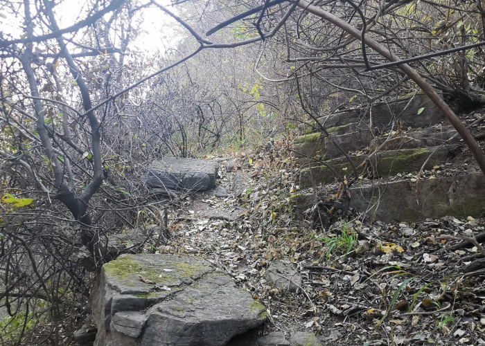 宣布疫情解除时间（疫情解除时间各地一览表）