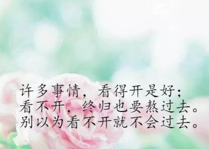 疫情解封后唯美句子（疫情解封后的心情语录）