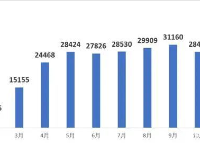 疫情是那3年（疫情哪一年出现的）