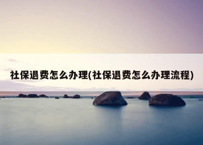 疫情社保退钱（疫情社保退钱怎么办理）