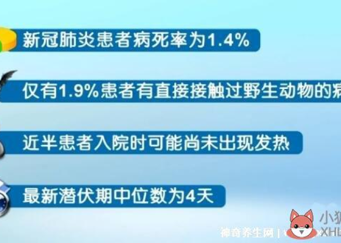 新冠疫情大爆发是哪一年（新冠疫情爆发时间顺序）