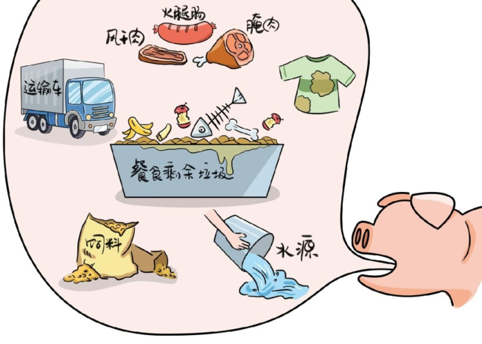 三年疫情是从哪一年开始的（疫情从几年开始）