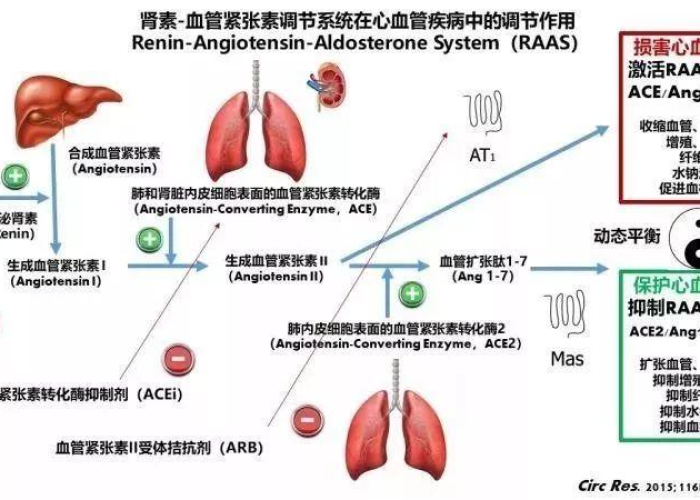 疫情时期需要备什么药（疫情期间需要备什么药）