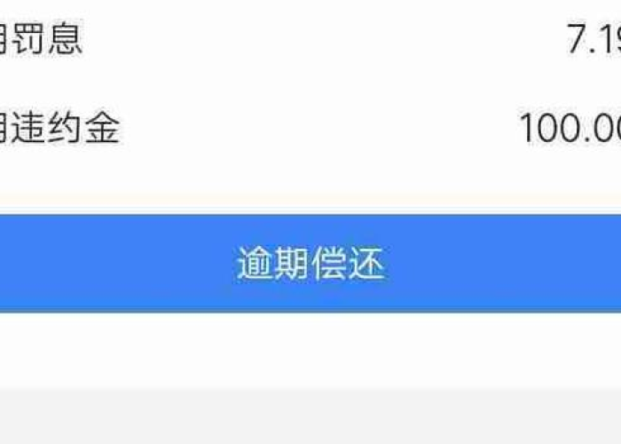 疫情钱还不上怎么办（疫情导致欠款还不上）