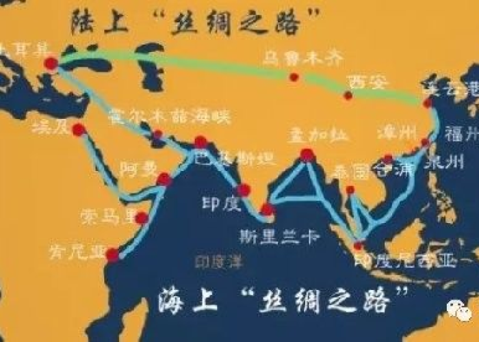 疫情背后的深度解析中央解说（疫情背后的中国道路）