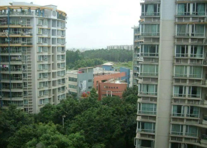 广州番禺洛溪南浦疫情（广州番禺洛浦街疫情）