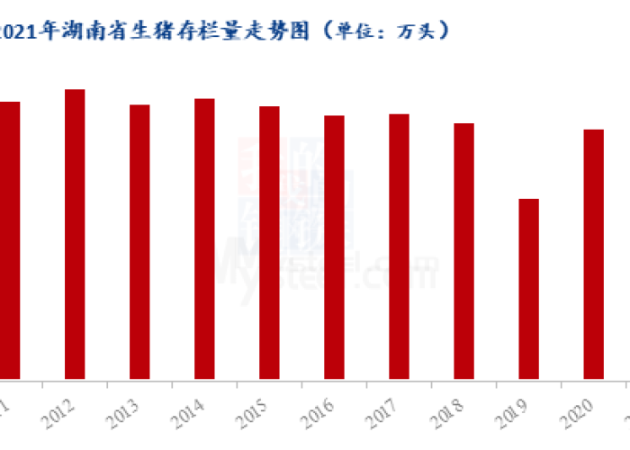 2019年疫情什么时候发生的（2019年疫情什么时候发生的呢）