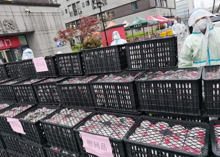 重庆疫情引起原因沙坪坝舞（重庆沙坪坝疫情最新情况 新闻）