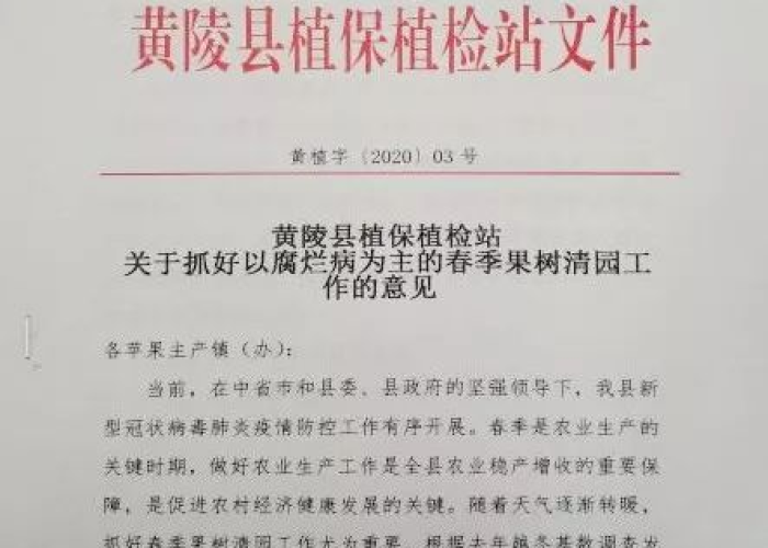 疫情期间我们要做到哪些要点（疫情期间我们需要做到哪四点）
