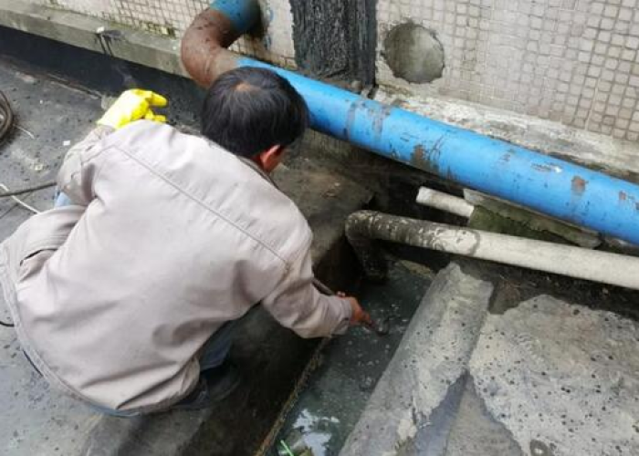 湖北疫情（湖北疫情死了多少人）