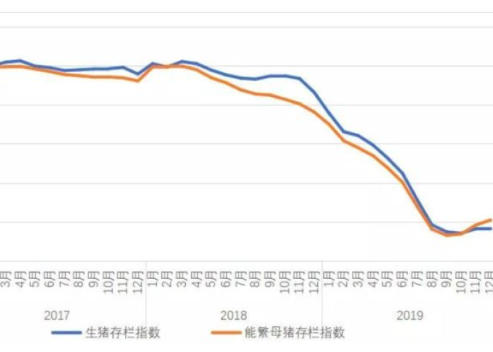 2019疫情开始的时候（2019疫情是从什么时候开始的）