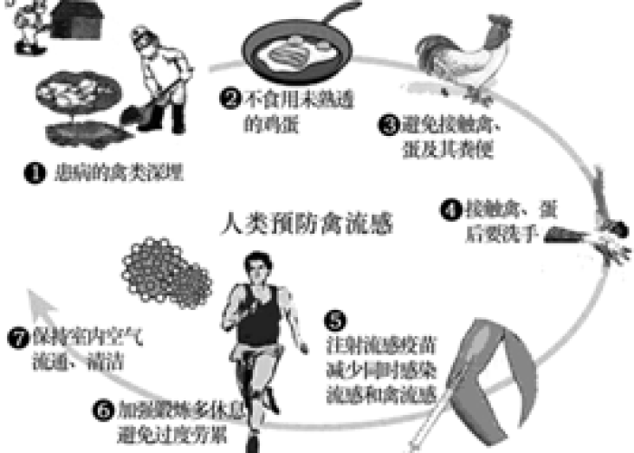 禽流感疫情最新官方消息（禽流感疫情最新官方消息今天）